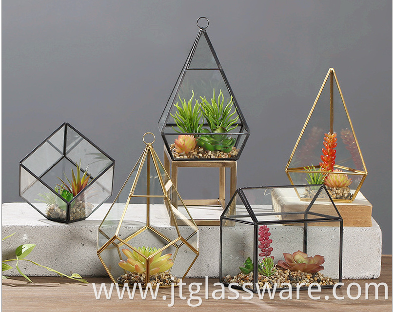 Glass Plant Terrarium